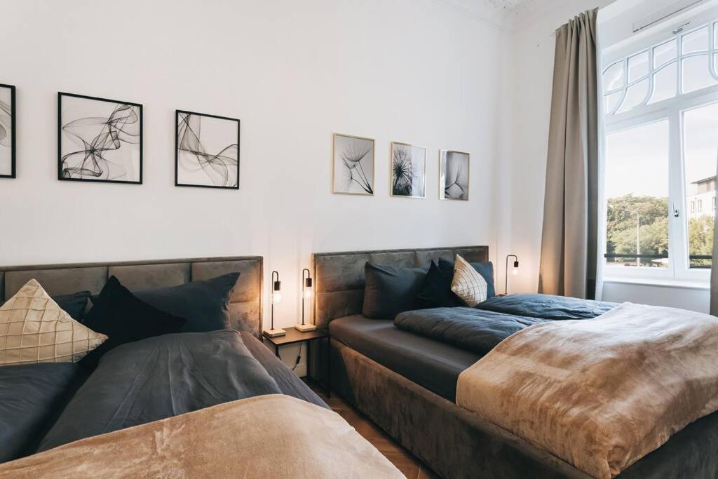 Tip! Design-Apartment In Toplage 75Qm In Szeneviertel 드레스덴 외부 사진